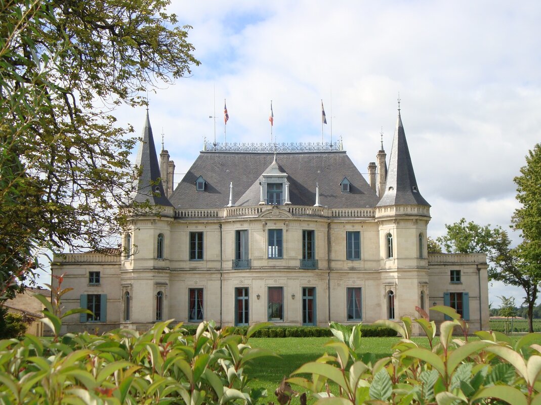 Château Palmer - Olga 