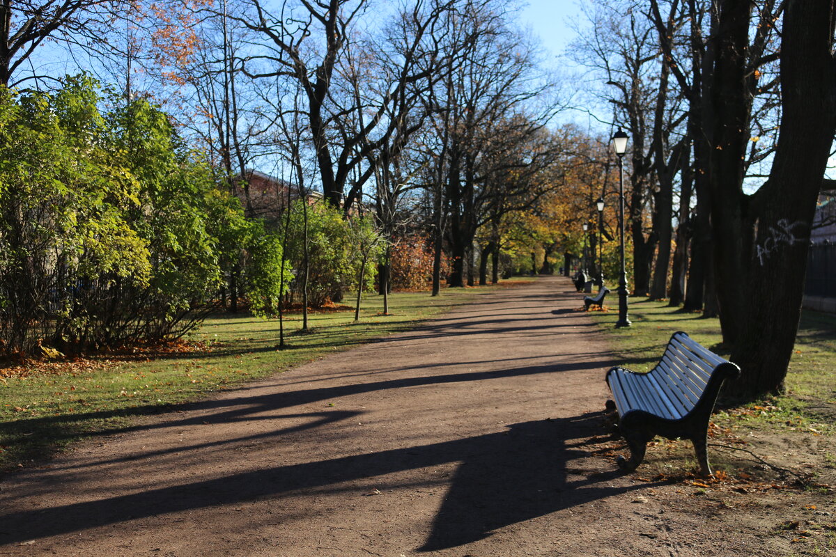 В осеннем парке - Ольга 