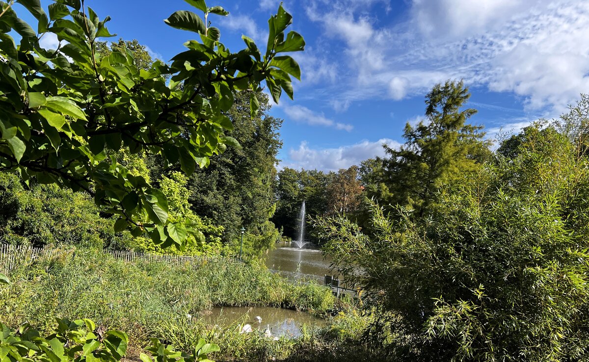 Тихо в парке. На озере /Der Tierpark am Röhrensee - Bayreuths lebendiger Süden/. - "The Natural World" Александер