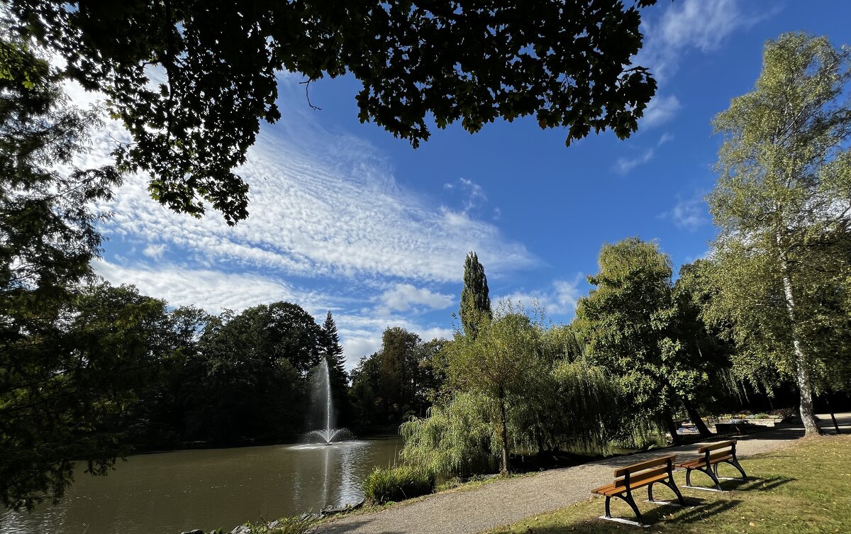 Тихо в парке. На озере /Der Tierpark am Röhrensee - Bayreuths lebendiger Süden/. - "The Natural World" Александер