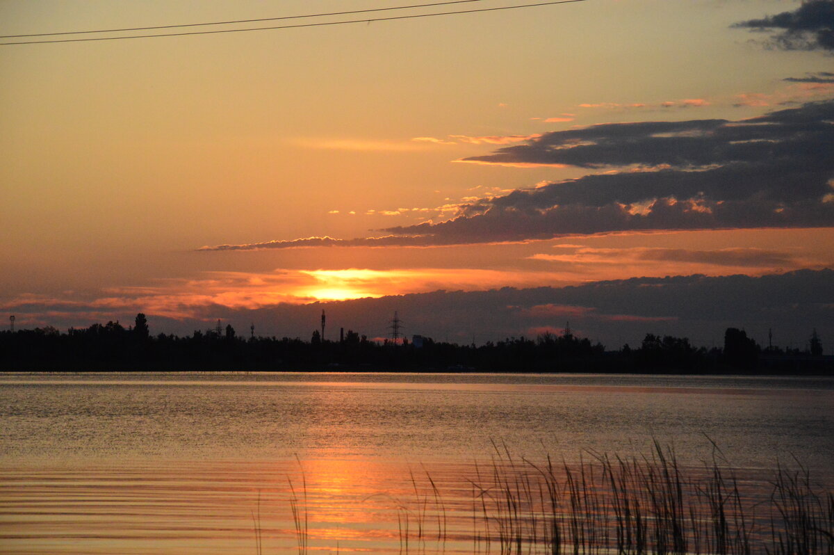 Дорожка на воде. - Виктор 