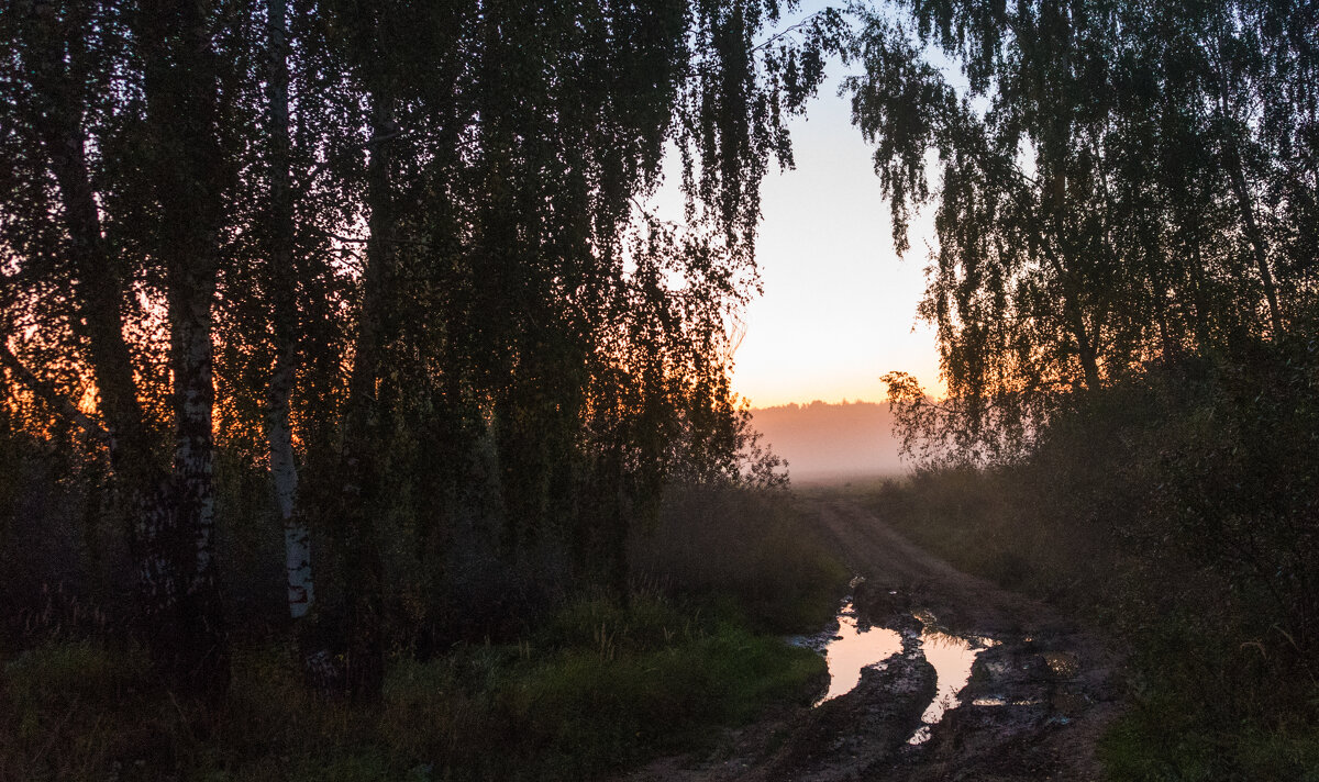 Рассвет. - Владимир Безбородов