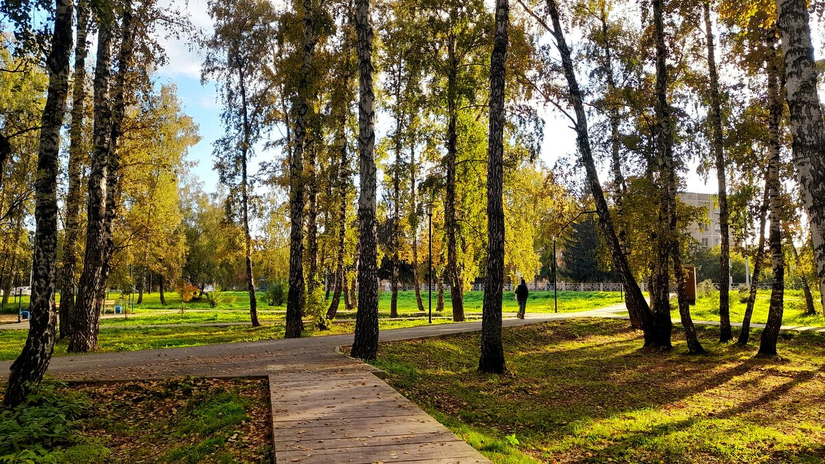 Золотая осень в парке . - Мила Бовкун