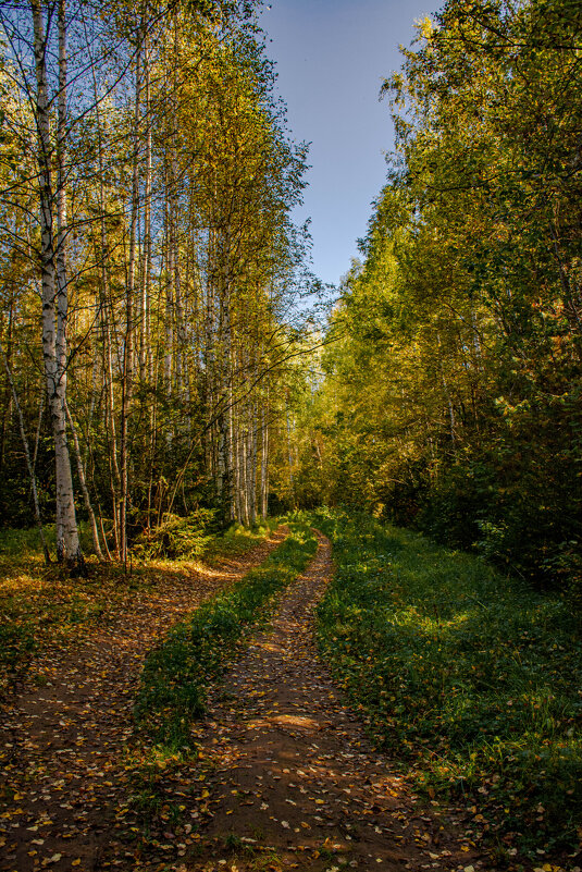 Осенняя - Людмила Баймухаметова