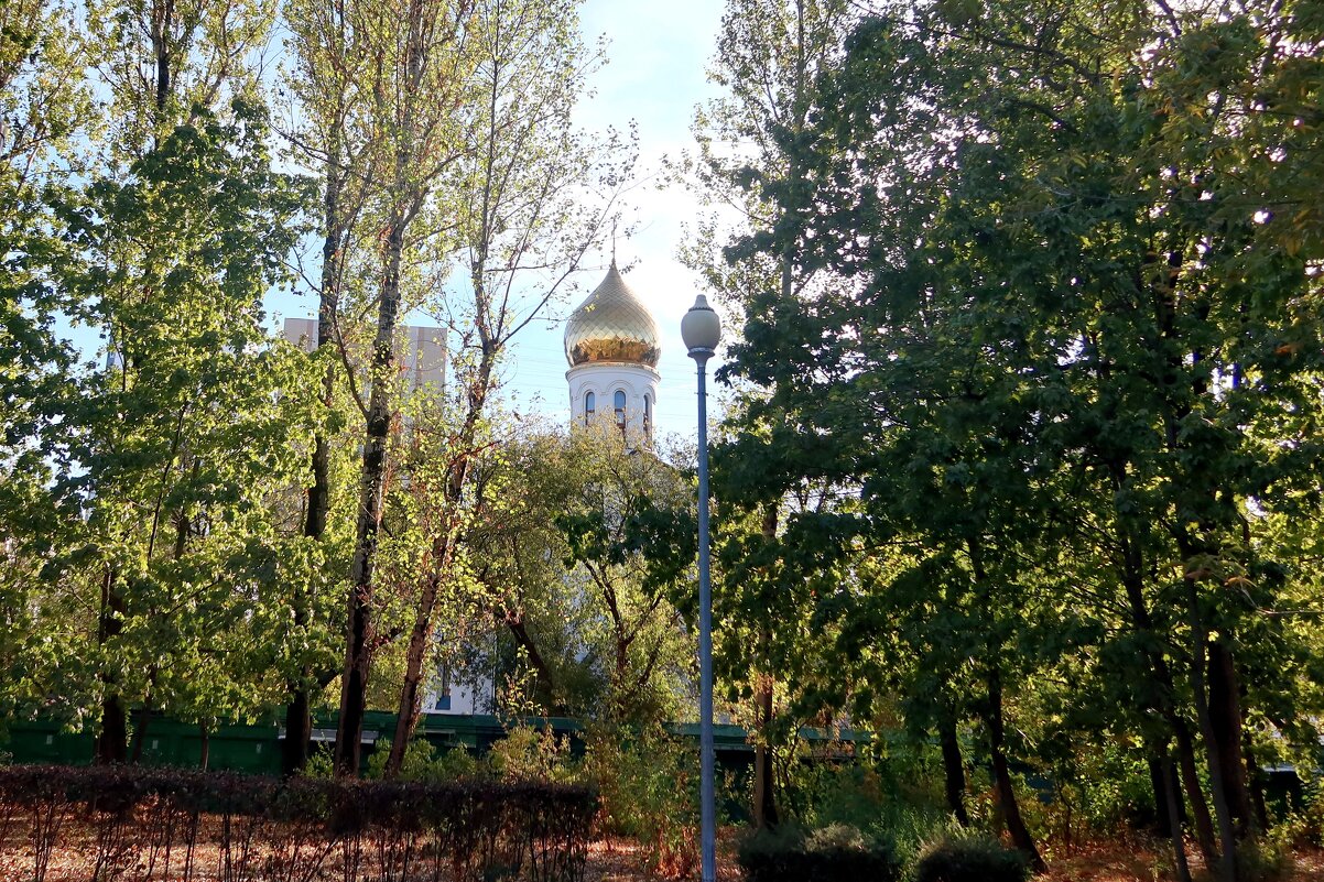 Осень в городском парке - Дмитрий И_