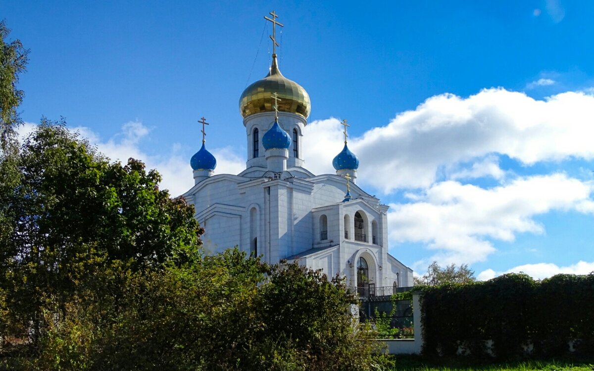 Православные храмы Смоленска. - Милешкин Владимир Алексеевич 