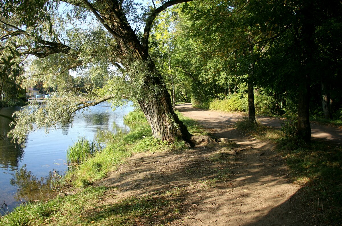 Царское Село - Наталья Герасимова