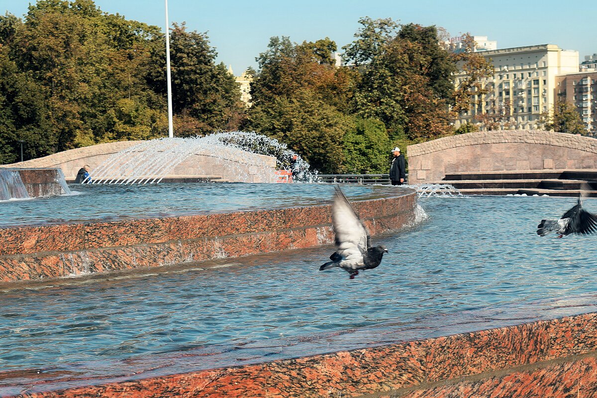 Пока есть, где водичку попить. - Татьяна Помогалова