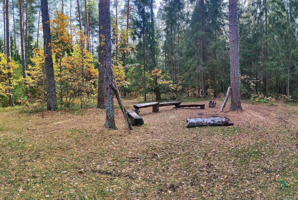 Стоянка в лесу - Денис Бочкарёв