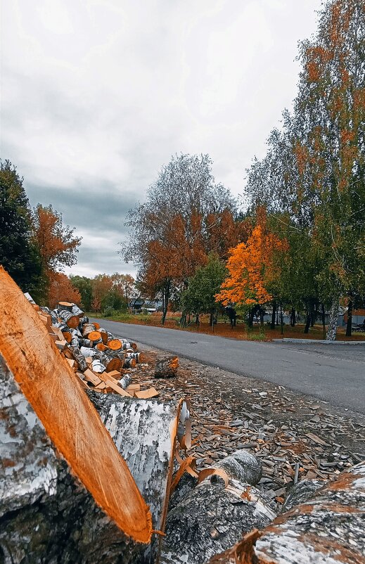 Осень в деревне. - Светлана 13.06.