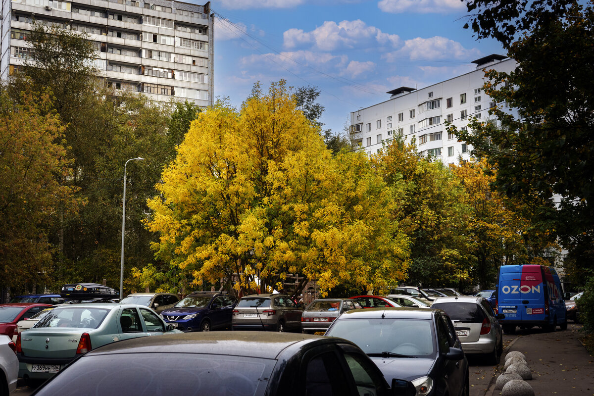 У нас во дворе - Владимир Кроливец