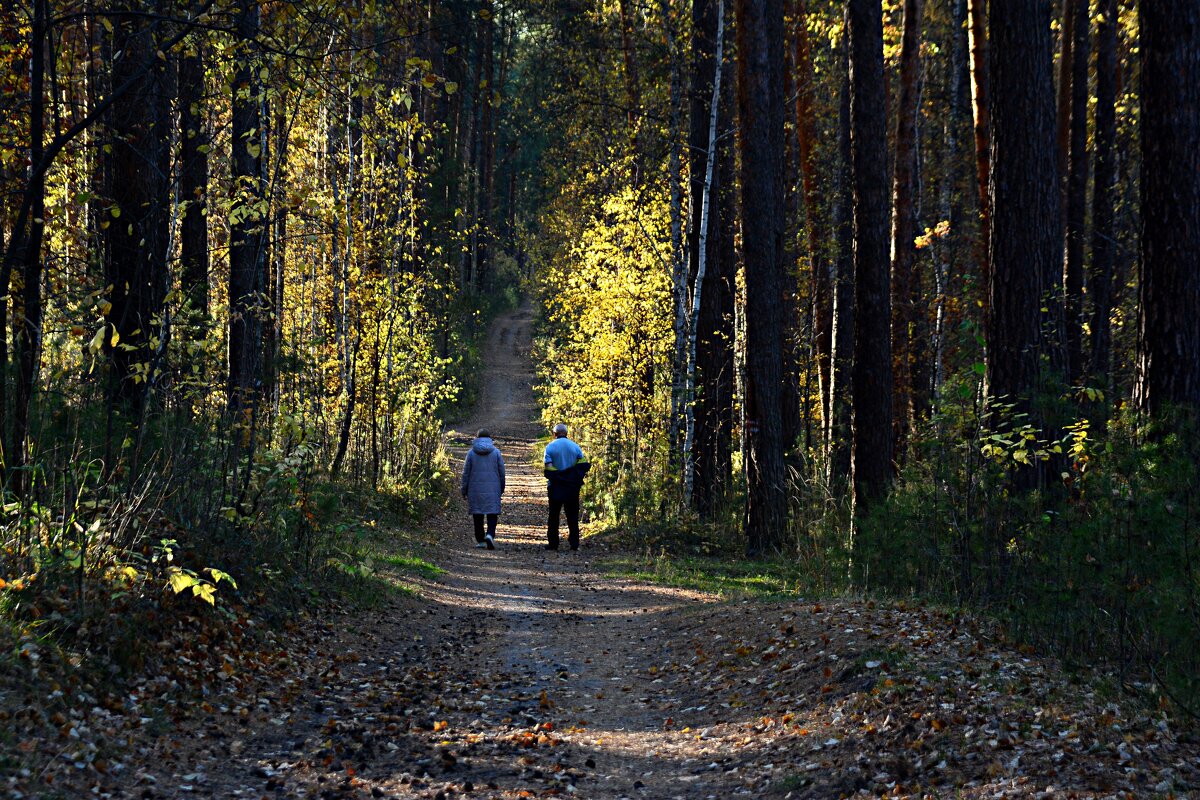 осень в парке - Александр 