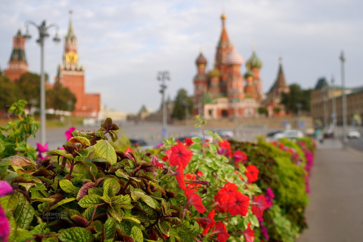 Цветы на Большом Москворецком мосту - Сергей Беляев