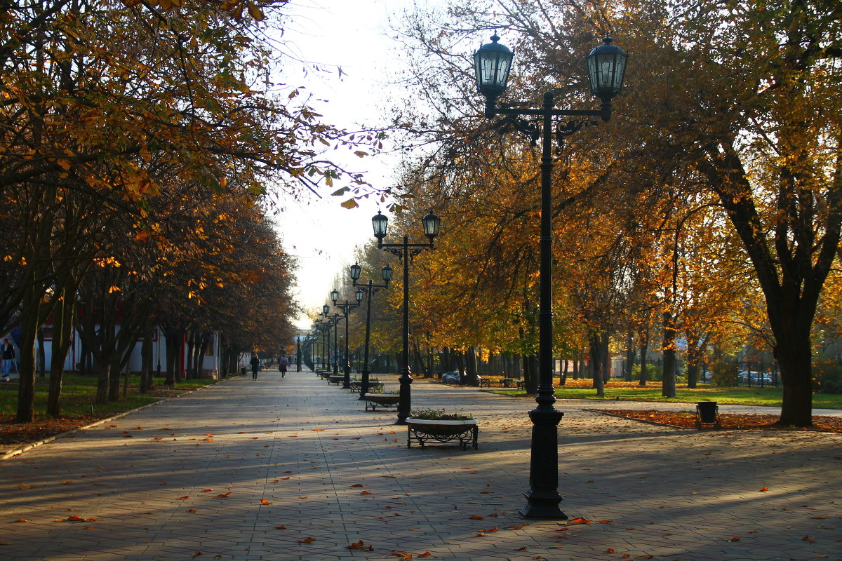 в парке - Екатерина Токарская