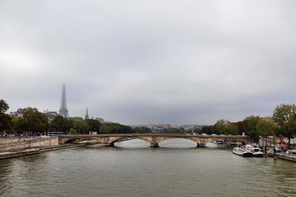 Туман в Париже - Михаил Малец