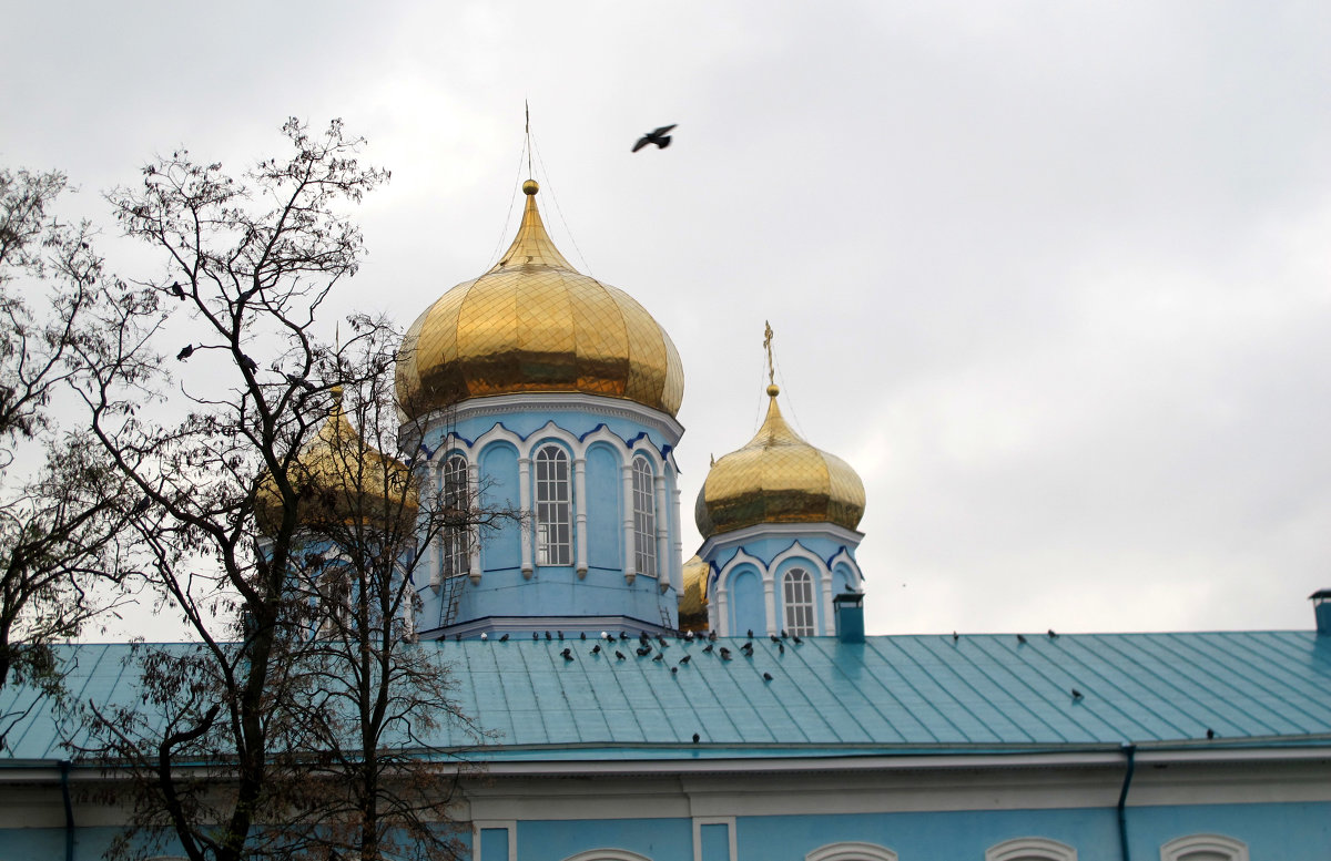 Птицы Небесные - Владимир Нев