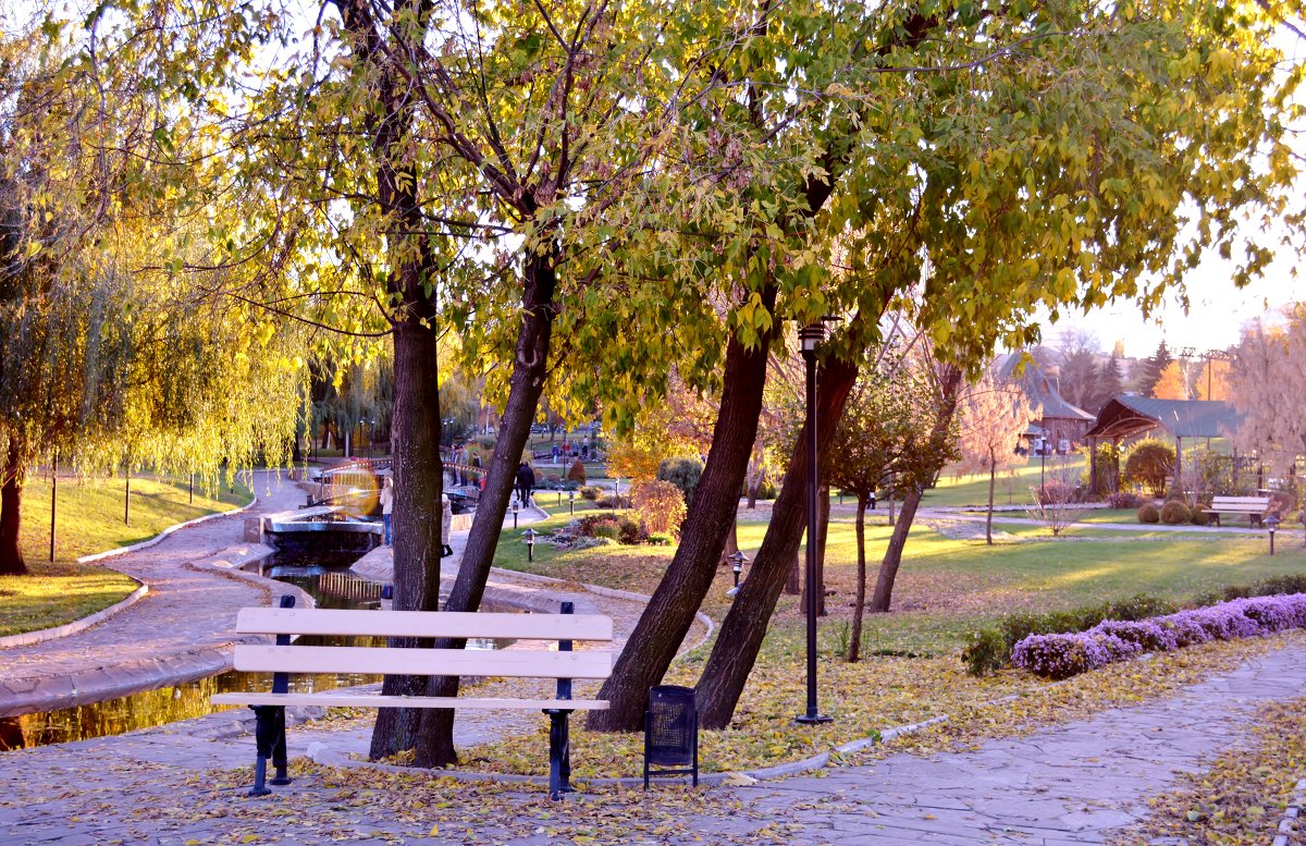 Осенний парк - Дарья Довгопольская