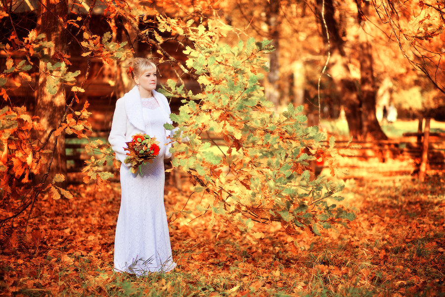 Время года - Осень 2013 - Наталья Блицена