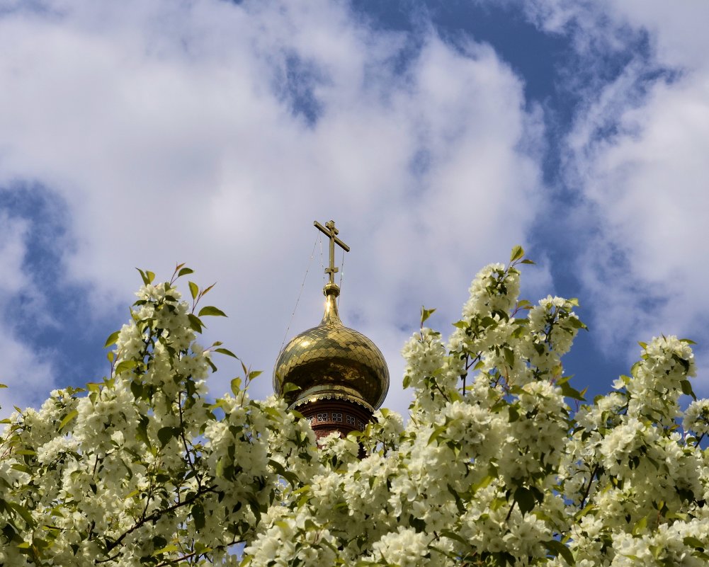 Весна в монастыре - Александр Артюхов