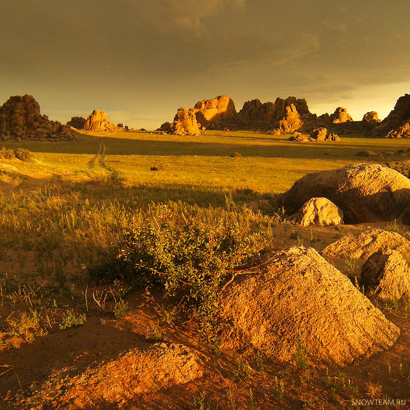 Монгольские пейзажи - Дмитрий Сенотрусов