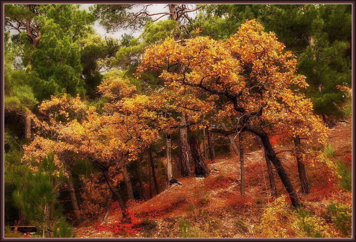 autumn Orton - Александр 