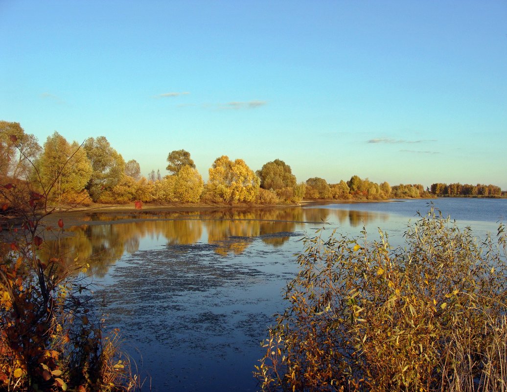 Осеннее озеро - Лариника Кузьменко