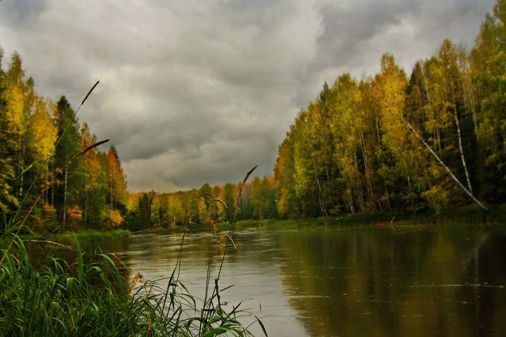 Река Шуя в сентябре_2 - Наталья 