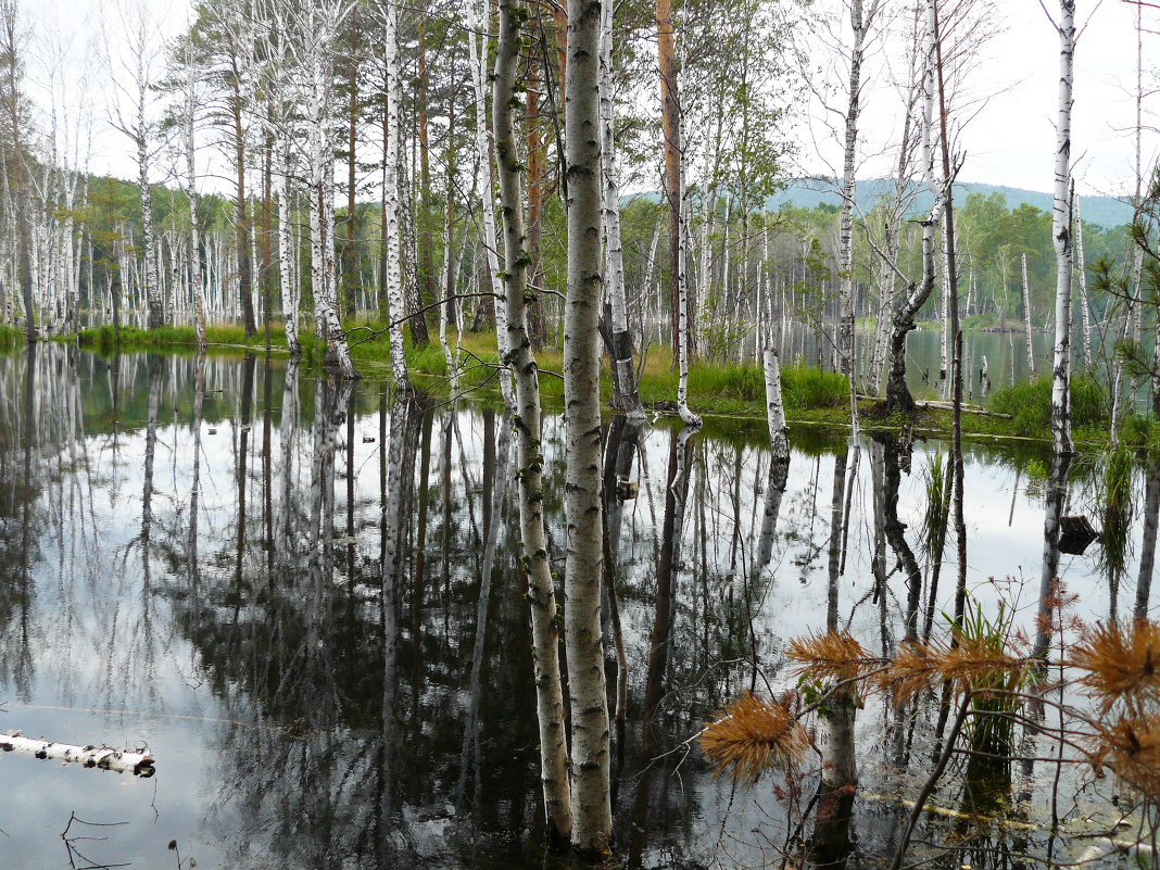 Озеро Тургояк - Anna Gridshina