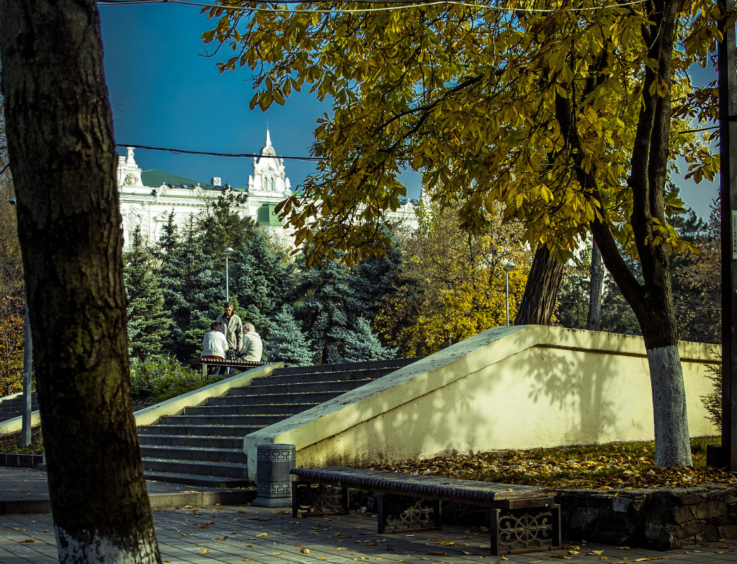 В парке - Екатерина Соаха