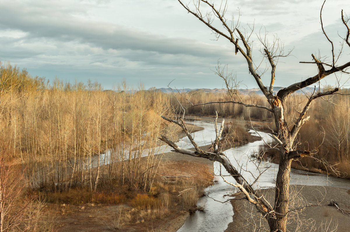 *** - Александр Кислицын