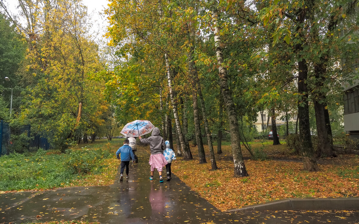 Городская Зарисовка - юрий поляков