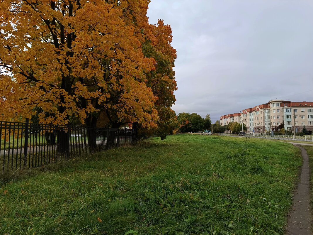 Осень в городе - Мария Васильева