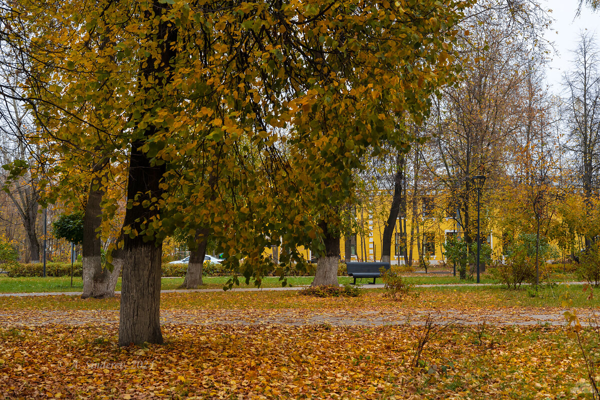 Осень в городском сквере - Александр Синдерёв