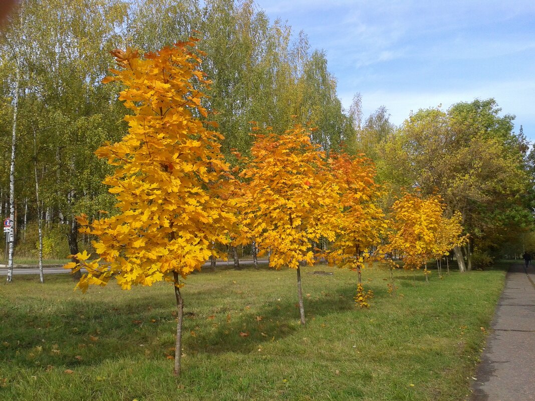 -------- - Владимир 