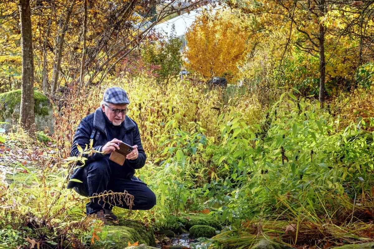 Я... - "The Natural World" Александер