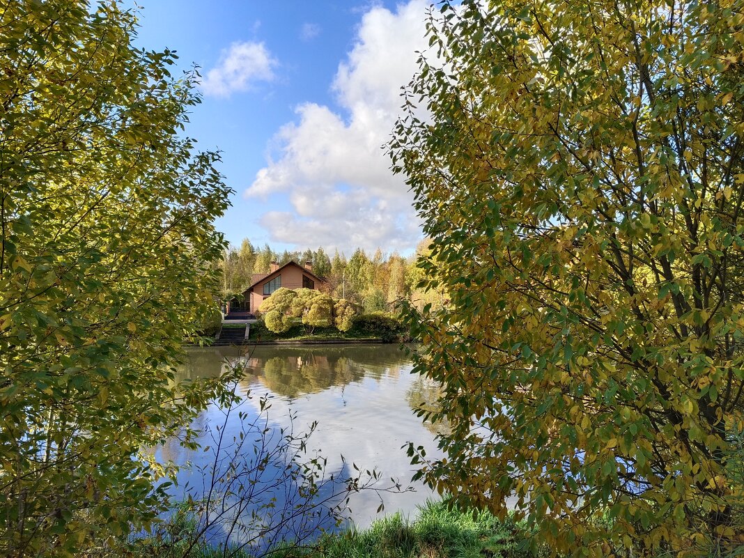 По берегу Ижоры - Мария Васильева