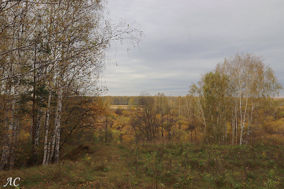 Осеннее настроение - Любовь Сахарова