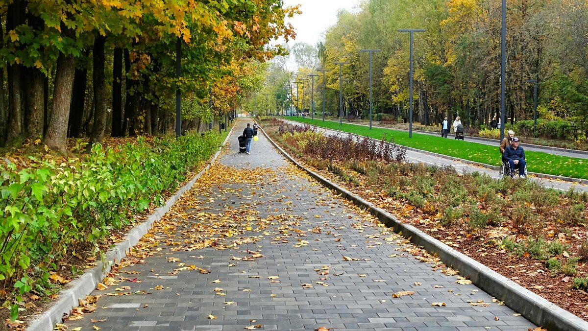 Осень в городском парке - Милешкин Владимир Алексеевич 