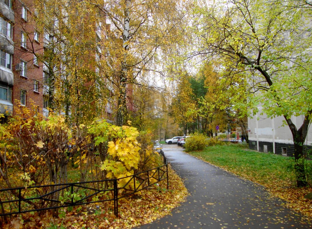 в городке осеннем... - Галина Флора