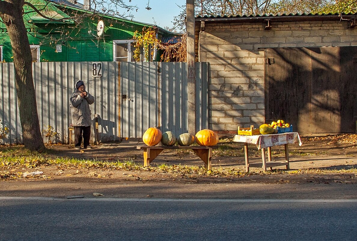 Дополнительный доход к пенсии - Валерий Иванович