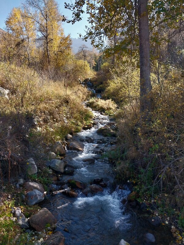 Almaty. - Murat Bukaev 