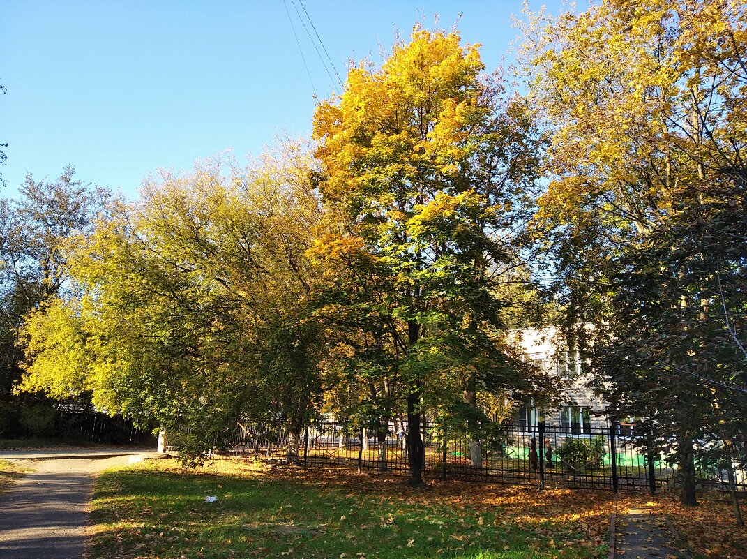 Осень в городе - Елена Семигина