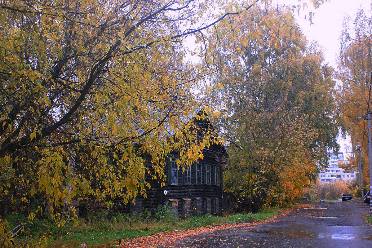 Осении улицы - Сергей Кочнев