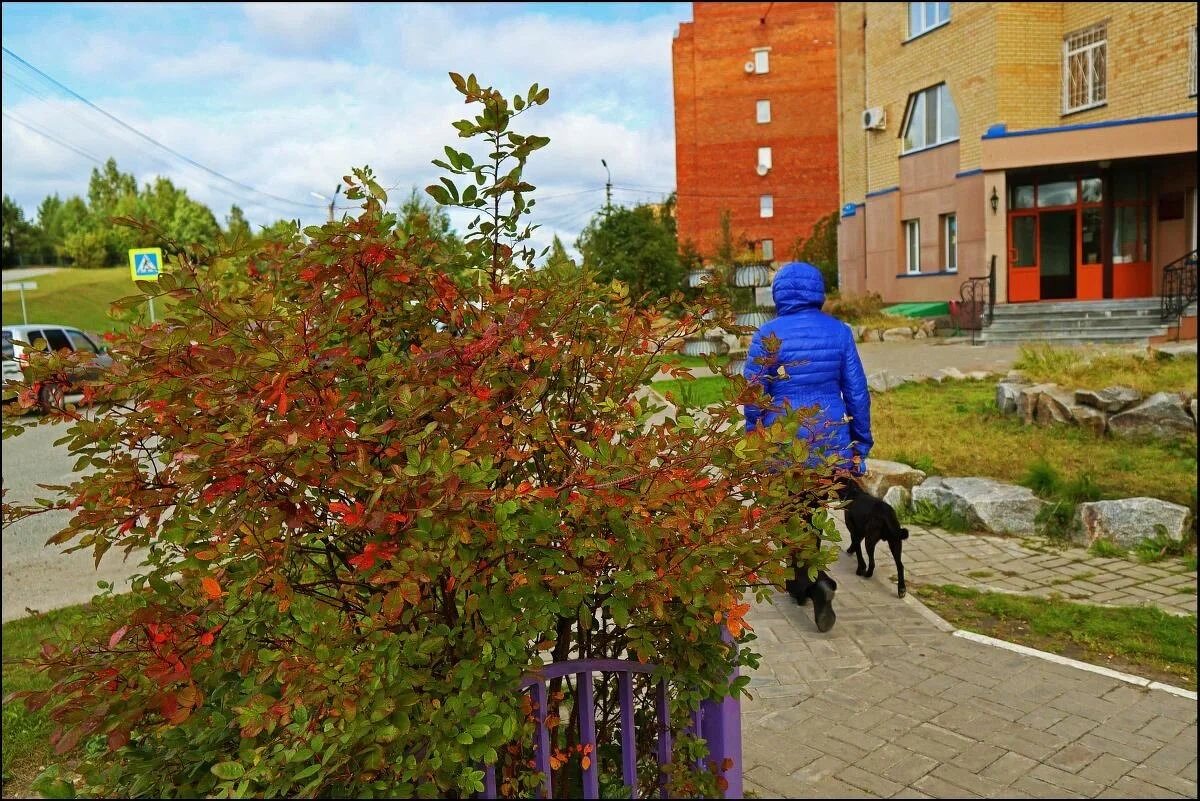 Сентябрь..Этюд с собакой! - Владимир 