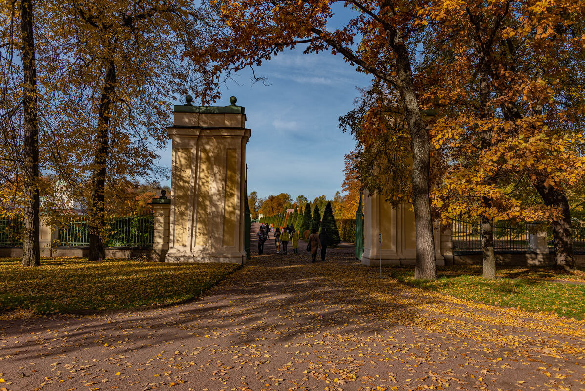 *** - Дмитрий Лупандин