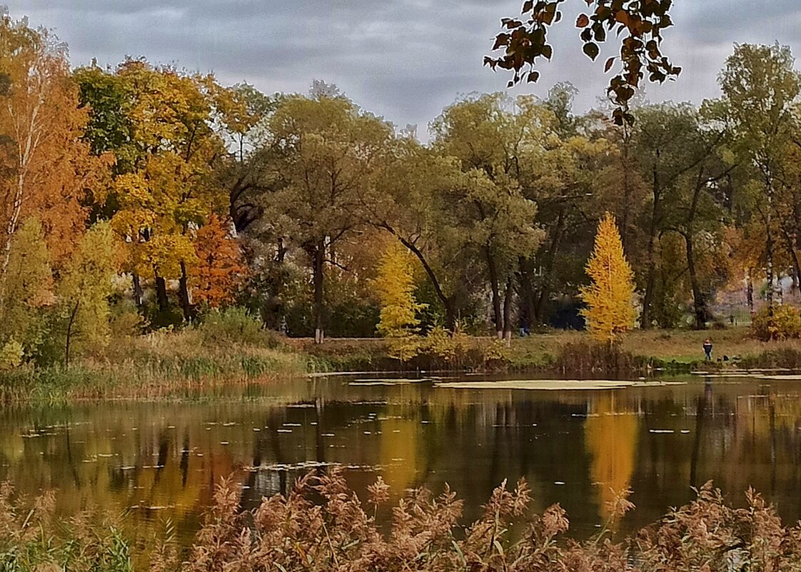 Художница-осень - veilins veilins