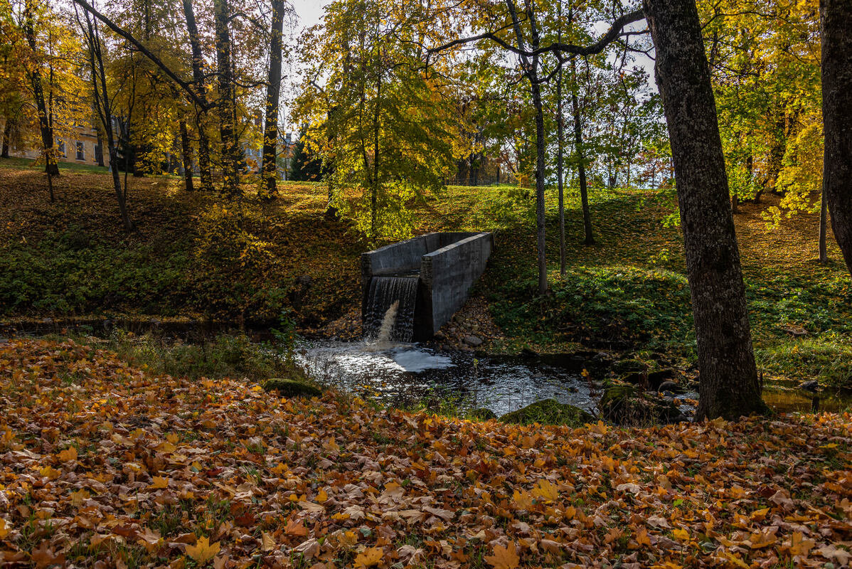 *** - Дмитрий Лупандин