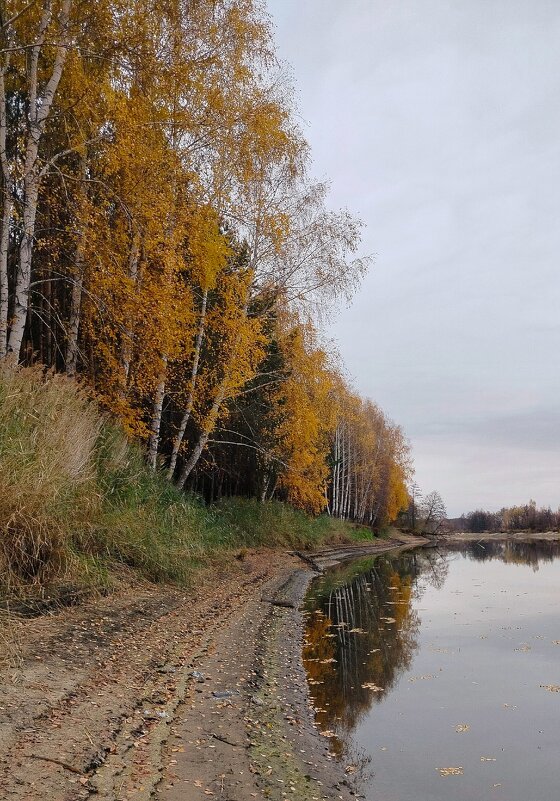 На реке - Пасечник 