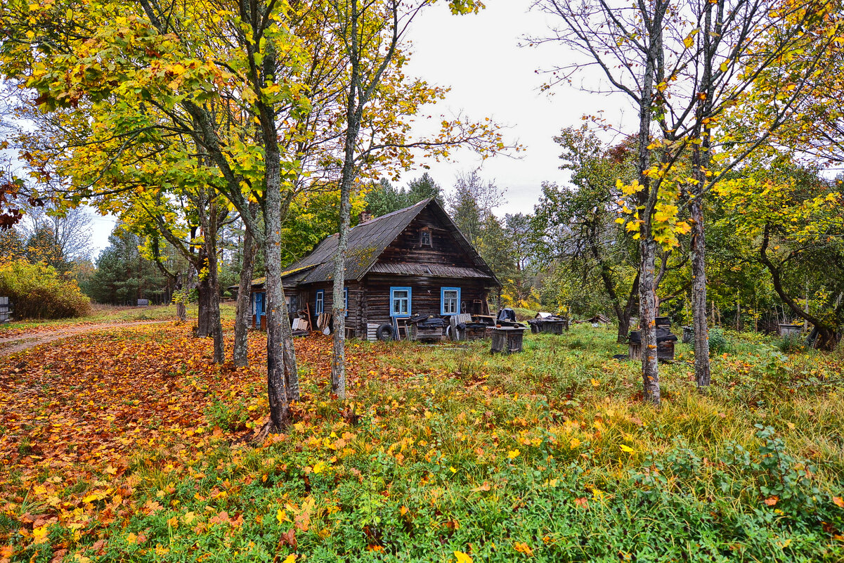 Домик - Виктор Журбенков