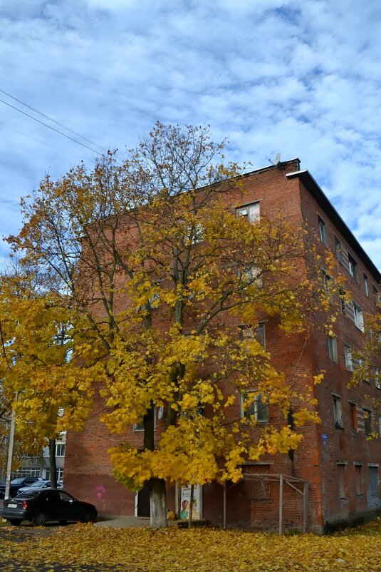 Осень в городе. - Михаил Столяров